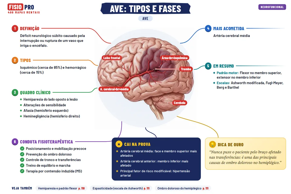 Mapa: AVE: tipos e fases